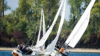 Beim Wettkampf um das "Blaue Band von Otterstadt", den der Brühler Verein ausrichtet.
