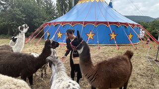 Die Alpakas und Ponys fressen Zirkusbesitzerin Jessica Frank-Weisheit aus der Hand.