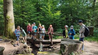 Kinder hatten in den Sommerferien 2024 viel Spaß beim Ausflug zum Falkner auf dem Königsstuhl.