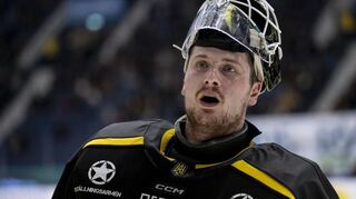 Läuft Torhüter Antoine Bibeau in der kommenden Saison für die Adler Mannheim in der Deutschen Eishockey Liga auf?
