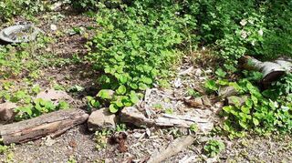 Auf dem Wildtier-Areal werden ständig Baumstämme entfernt, Findlinge herumgeworfen, Beete zertrampelt und die aufgestellten Häuschen und Tränken umgekippt.