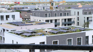 Der Blick vom Seniorenwohnheim auf die begrünten und mit PV-Anlagen versehenen Neubaudächer.