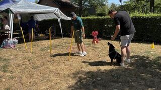 Redakteur Noah Eschwey (re.) und Hund Willy durchlaufen den Hundeparkours vom Hockenheimer Hundesportverein.