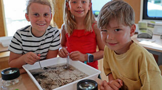 Die drei jungen Forscher Luisa (9 Jahre), Lia (8) und Emil (4) untersuchen Gewässertiere im Naturschutzlabor des Ökomobils.