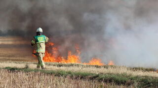 Auf einem Feld in Eppelheim kam es am frühen Sonntagabend zu einem Brand.