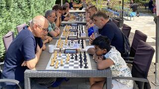 Höchste Konzentration im Vogelpark: Die Teilnehmer grübeln über den nächsten Zügen.