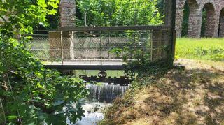 Nachdem die Fischtreppe an der Brühler Mündung fertiggestellt ist, endet die Wanderung der Wasserrtiere bislang noch beim Wehr am unteren Wasserwerk in Schwetzingen.