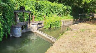 Das Wehr im Bewährungshelfergarten ist das zweite Hindernis in Schwetzingen, das der Durchlässigkeit des Leimbachs im Wege steht.