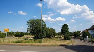 Der Streifen zwischen der Walldorfer Straße (r.) und der B 291 (l. hinten) ist das letzte potenzielle Erweiterungsgebiet der Hardtwaldsiedlung und schon seit langem im Flächennutzungsplan entsprechend ausgewiesen. Doch die Gemeinde hat weiterhin nicht vor, hier eine Bebauung anzugehen – zu aufwendig und teuer sei das Vorhaben, heißt es aus dem Rathaus.