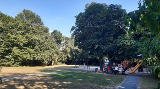Positives Beispiel für Spielplatzbegrünung: Das Areal im Stiegwiesenpark an der Kaiserstraße bietet viel Schatten, kühlt das Stadtklima ab und sieht idyllisch aus.