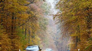 Mehr Sicherheit beim Fahren: Wird es auf den Straßen kalt und feucht, kommt es auf die richtigen Autoreifen an.