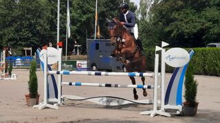 Der Reiterverein Schwetzingen richtet vier Tage lang auf seiner Anlage an der Hockenheimer Landstraße ein Springturnier bis Klasse S* aus. 1000 Nennungen sind eingegangen.