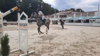 Die Reiter finden beim RV Schwetzingen optimale Bedingungen vor. Der Turnierplatz ist ein Aushängeschild des Vereins.