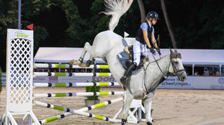 Beim Barrierespringen S des RV Schwetzingen war mit 17 Startern das Konkurrenzfeld sehr groß. Lisa Köhler vom RFV Niederzeuzbach schaffte es unter die letzten vier der Siegergruppe als einzige Amazone zu kommen.