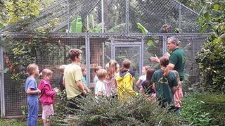 Aufmerksam lauschen die Mädchen und Jungen dem Vorsitzenden Sven Berlinghof, der über die Tiere im Vogelpark Plankstadt spricht.