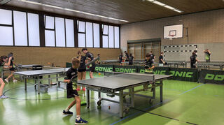 Optimale Trainingsbedingungen beim TTC Ketsch an zwölf Tischtennisplatten.
