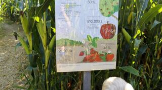 Infoschilder informieren im Labyrinth über die Landwirtschaft, die der Familie Dehoust sehr am Herzen liegt.