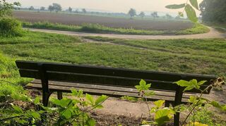 Caspar Schatz liebt diese Bank am Waldrand.