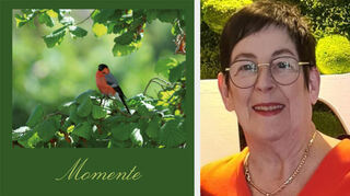 Das Cover des Buchs „Momente“, geschrieben von Beate Mierau.