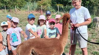 Anja Rose vom Erlebnisbauernhof „Kleine Farm“ macht die Ferienkinder mit Alpakahengst „Fernando“ bekannt, der sich streicheln lässt.