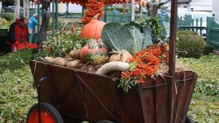 Ganz im Zeichen des Erntedanks steht der Herbstmarkt rund um die Brühler Villa Meixner, in deren Innenräumen Kunsthandwerk geboten wird.