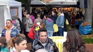 Der Herbstmarkt rund um die Brühler Villa Meixner sorgt rund um den Tag der Deutschen Einheit immer wieder für ein enorm großes Publikumsinteresse.