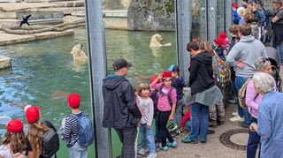 Die Schwetzinger Kinder schauen zu, wie Eisbär "Mika" und seine Mutter "Nuka" spielen.