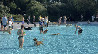 Zweibeiner und Vierbeiner genießen die Zeit im Freibad.