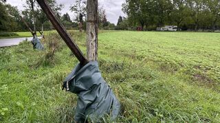 Die letzten Wassersäcke für Bäume sind in der Gemeinde nahe des Brühler Friedhofs zu finden.