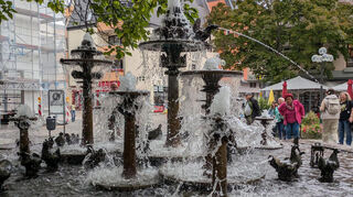 Auch den Elwedritschenbrunnen in der Altstadt nehmen die wissbegierigen Teilnehmer in Augenschein.