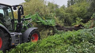 Ein Räumfahrzeug schafft den umgestürzten Baum aus dem Weg.