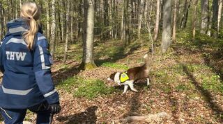 Auch die Suche im Gelände wird trainiert - am ersten Oktoberwochenende vor allem im Schlossgarten Schwetzingen.