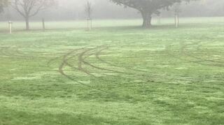 Die Fahrspuren auf der Wiese im unteren Domgarten in Speyer wurden am Montagmorgen entdeckt. Die Stadt hat Anzeige erstattet.