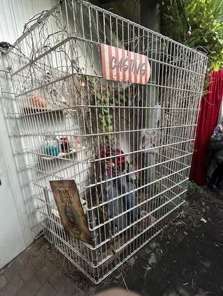 Schon die Dekoration im Wartebereich lässt erahnen, wie das folgende "Casting" in der „Academy of Freaks“ aussehen wird.