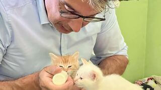 Dr. Andre Baumann hat in der Katzenstation Schwetzingen auch beim Füttern junger Kätzchen geholfen.
