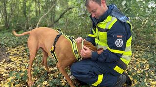 Im Schwetzinger Schlossgarten übten Rettungshunde und ihre Halter das Suchen im Gelände.