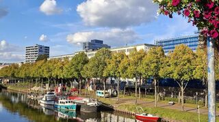 Wunderbar: In Saarbrücken gibt es Natur nicht irgendwo draußen, sondern inmitten der Innenstadt.