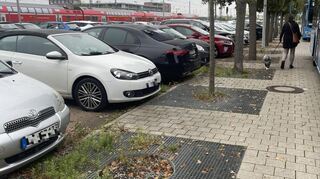 An Rande des Parkplatzes am Schwetzinger Bahnhof fehlen inzwischen einige Bäume.