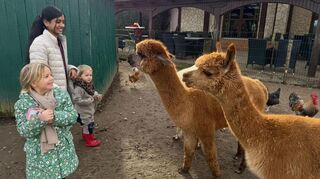 Anjana mit Lori und Merle.