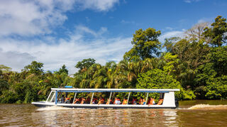 Tortuguero-Nationalpark, Costa Rica: Ein einzigartiges Ökosystem aus Kanälen, Sümpfen und Stränden – bekannt als Brutstätte der grünen Meeresschildkröten.