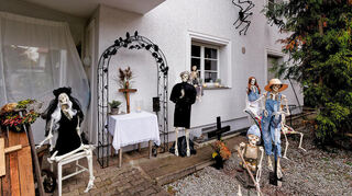 Eine große Spinne hat es im Hintergrund an die Hauswand geschafft.