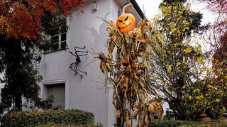 Ein Kürbis wurde passend zur Jahreszeit auch in die Halloween-Deko integriert.