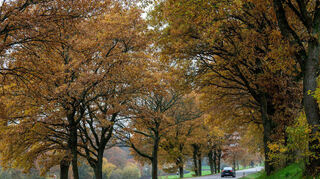 Der November kommt mit einem herbstlichen Wechselspiel aus Sonne, Nebel und Wolken. (Symbolbild)