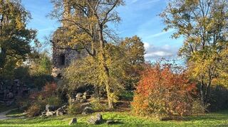Herbstlichen Schlossgarten. Falko Deimann-Gassner, Schwetzingen