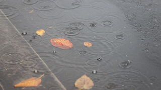 Das Wochenende startet mild - später folgen Regen und Sturm. (Symbolbild)