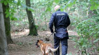 Mit großen Suchaktionen hatte die Polizei etwa im Altonaer Volkspark in Hamburg nach der vermissten Hilal gesucht. (Archivbild)