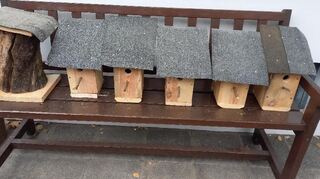 Der Verein Sonnenernte gibt Tipps zum Aufbau von Nistkästen.