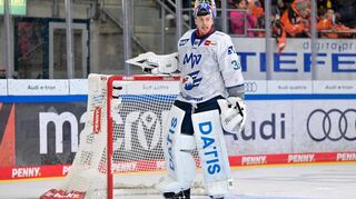 Johan Mattsson hat sich in der Deutschen Eishockey Liga schnell zurechtgefunden.